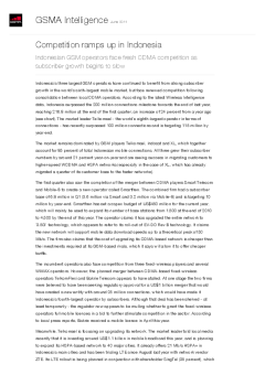 Competition ramps up in Indonesia - Indonesian GSM operators face fresh CDMA competition as subscriber growth begins to slow